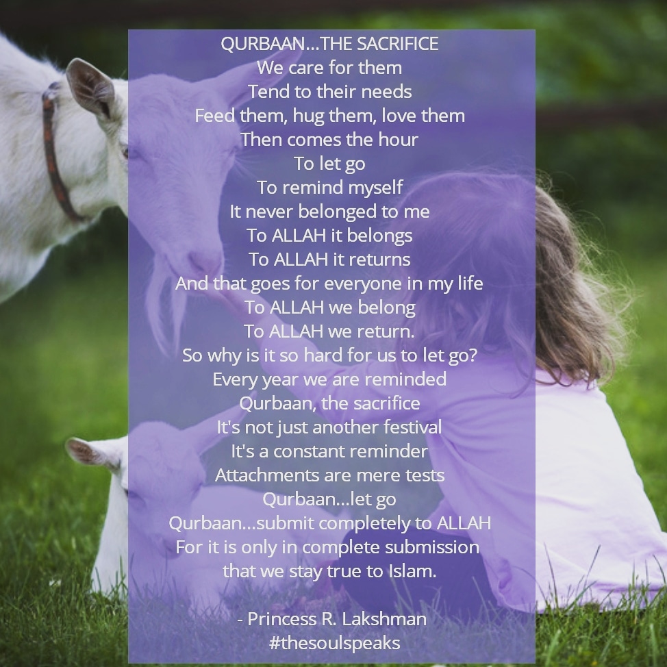 IMG_20200731_055953_484